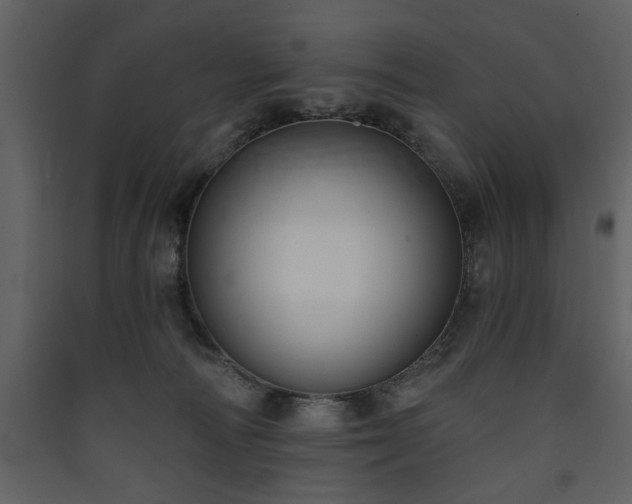 X0000090420226200707131215