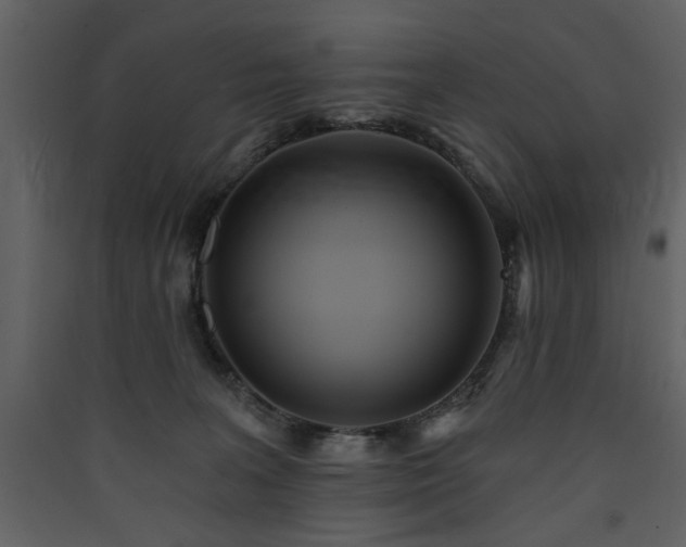 X0000090420227200707131215