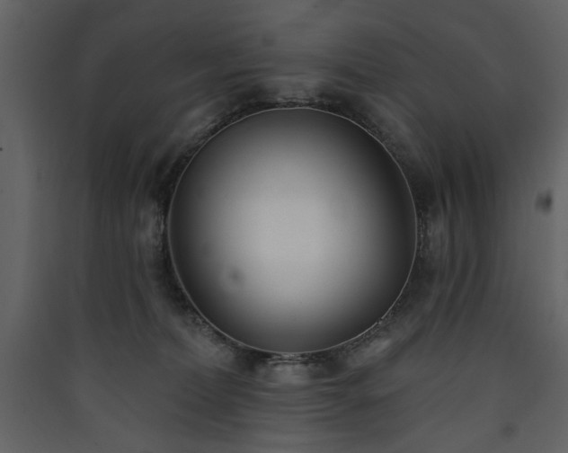 X0000090420228200707131215