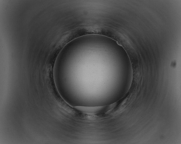 X0000090420229200707131215