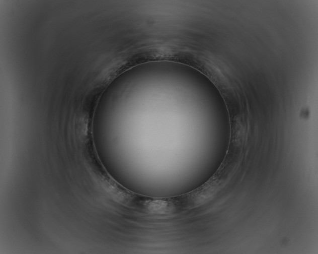X0000090420230200707131215