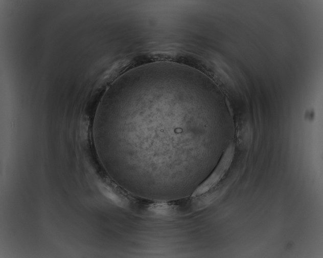 X0000090420231200707131215