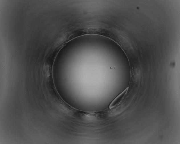 X0000090420232200707131215