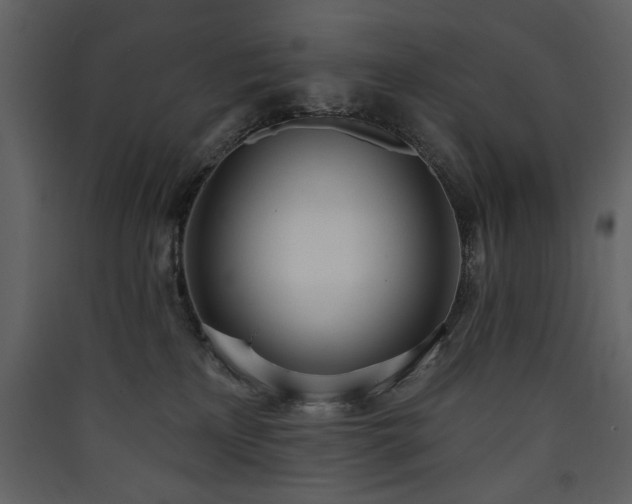 X0000090420233200707131215