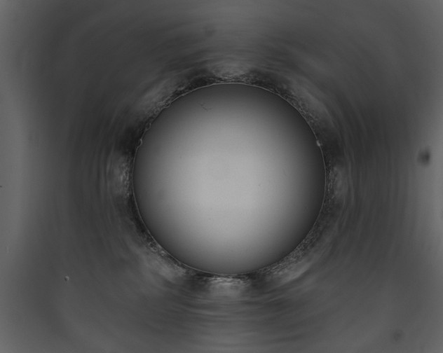 X0000090420234200707131215