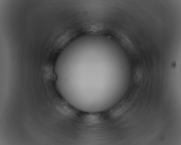 X0000090420236200707131215