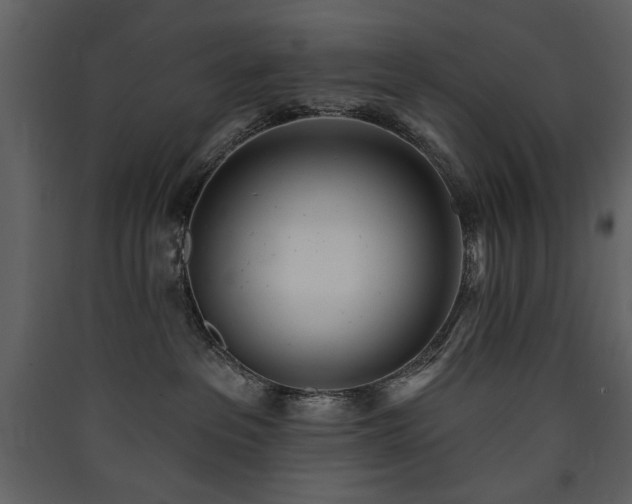 X0000090420237200707131215