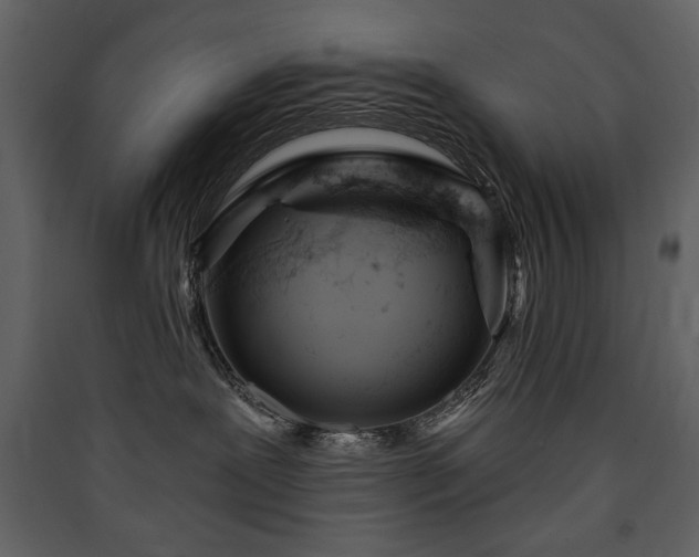 X0000090420239200707131215