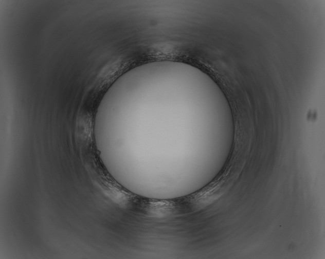 X0000090420240200707131215