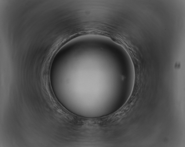 X0000090420241200707131214