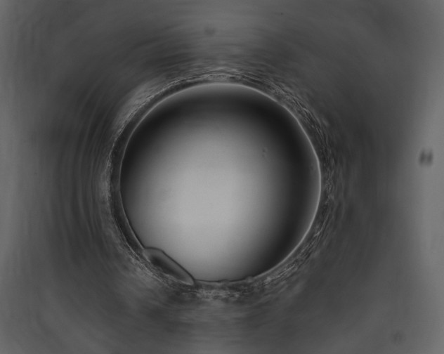 X0000090420242200707131214