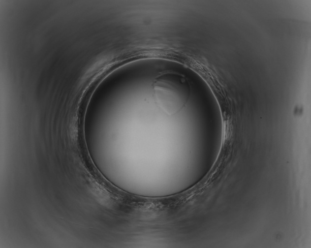 X0000090420243200707131214