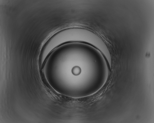 X0000090420244200707131214