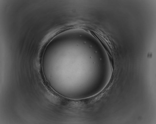 X0000090420245200707131214