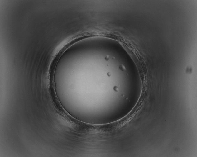 X0000090420246200707131214