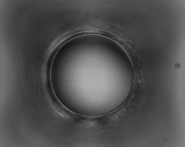 X0000090420247200707131214