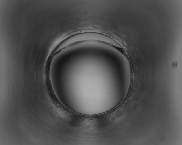 X0000090420248200707131214