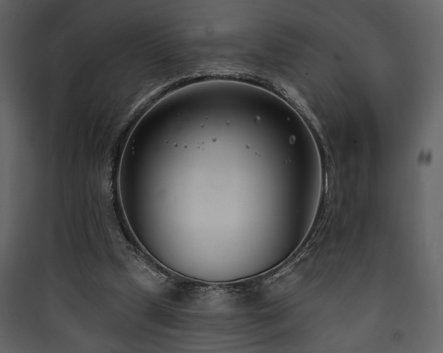 X0000090420249200707131214