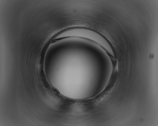 X0000090420252200707131214