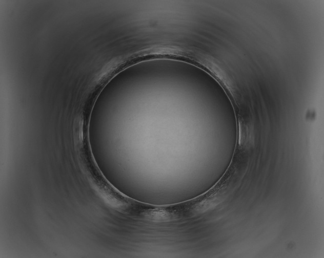 X0000090420253200707131214