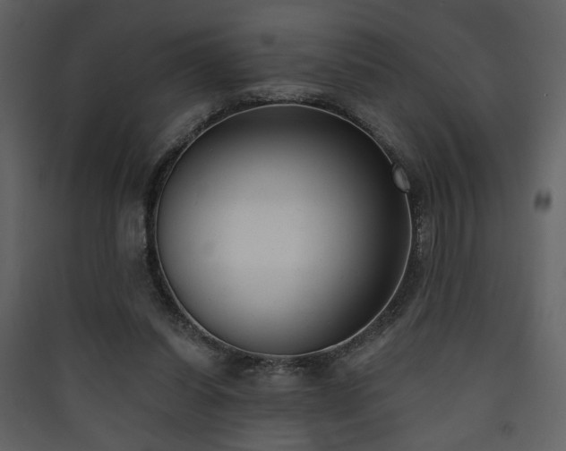 X0000090420254200707131214
