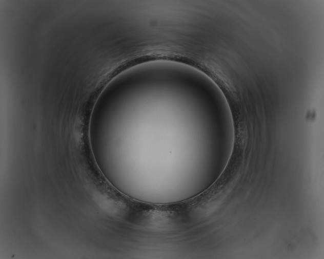 X0000090420255200707131214