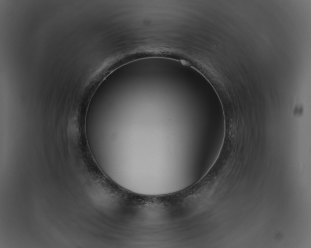 X0000090420256200707131214