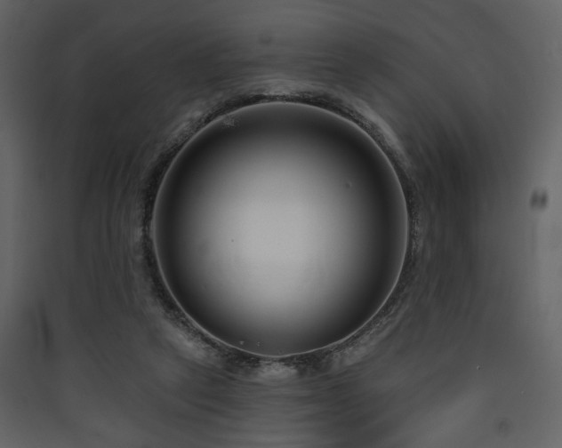 X0000090420257200707131214