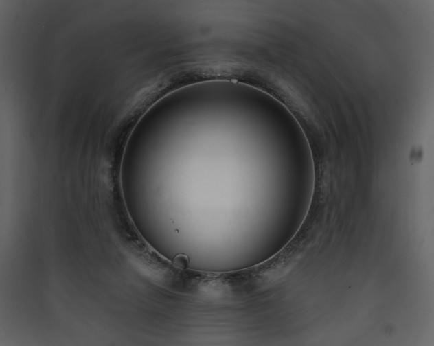 X0000090420258200707131214