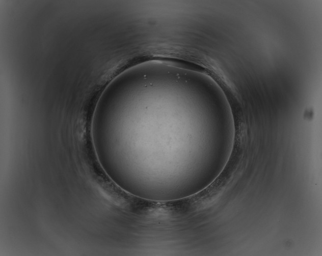 X0000090420259200707131214