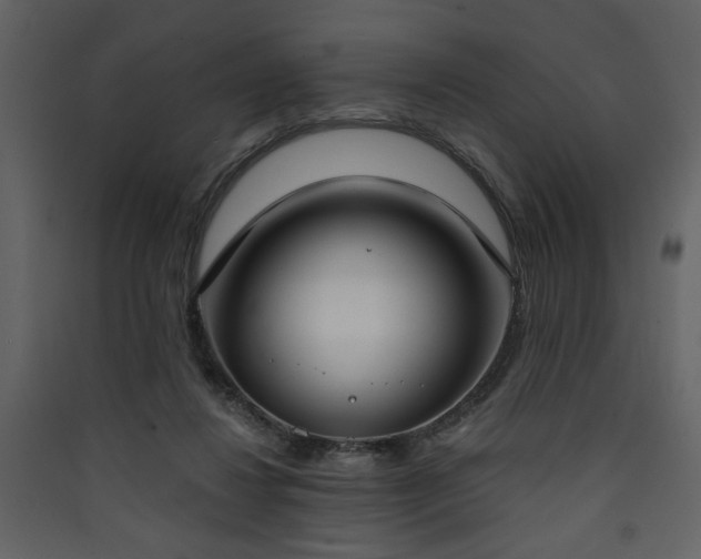 X0000090420260200707131214