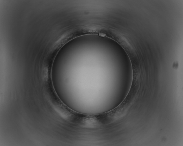 X0000090420262200707131215