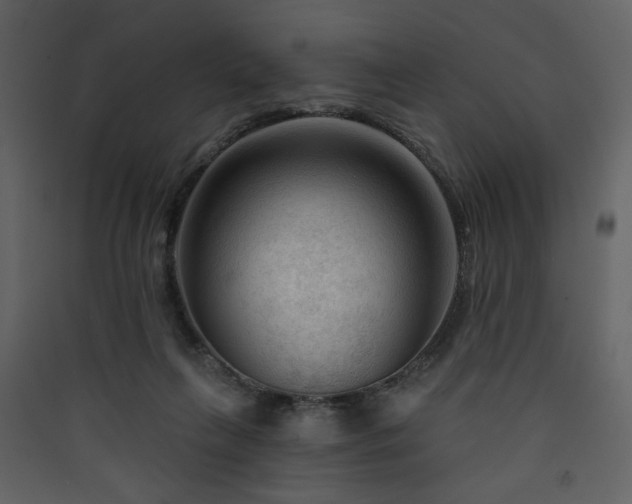 X0000090420263200707131215