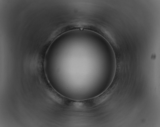 X0000090420265200707131215