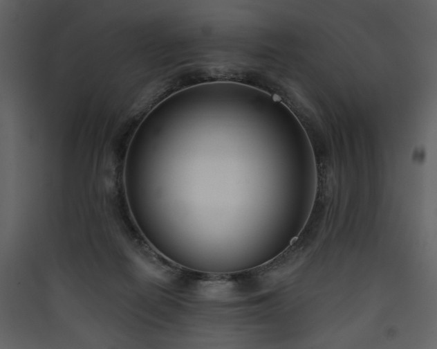 X0000090420266200707131215