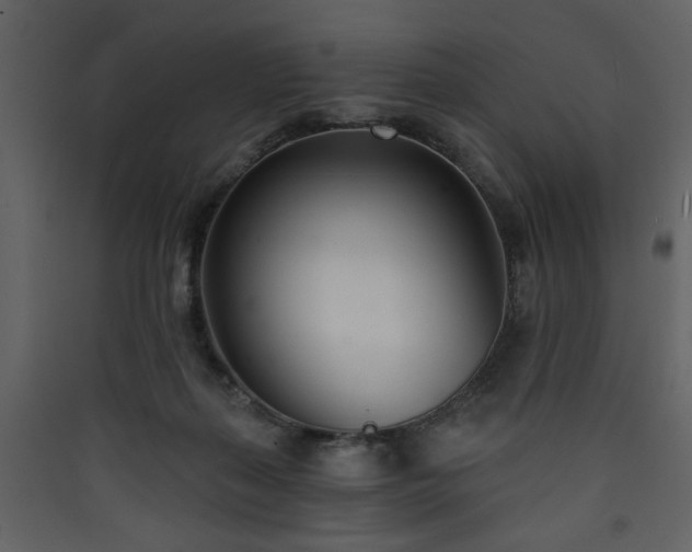 X0000090420267200707131215