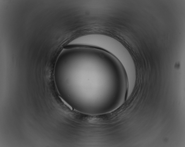 X0000090420268200707131215