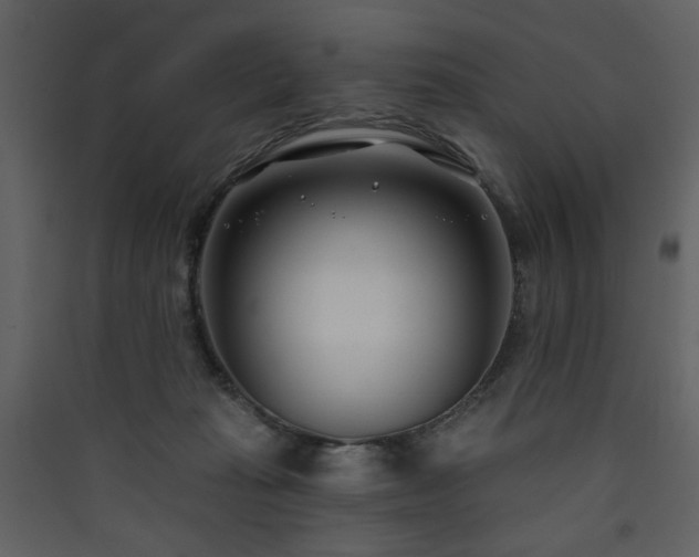 X0000090420269200707131215