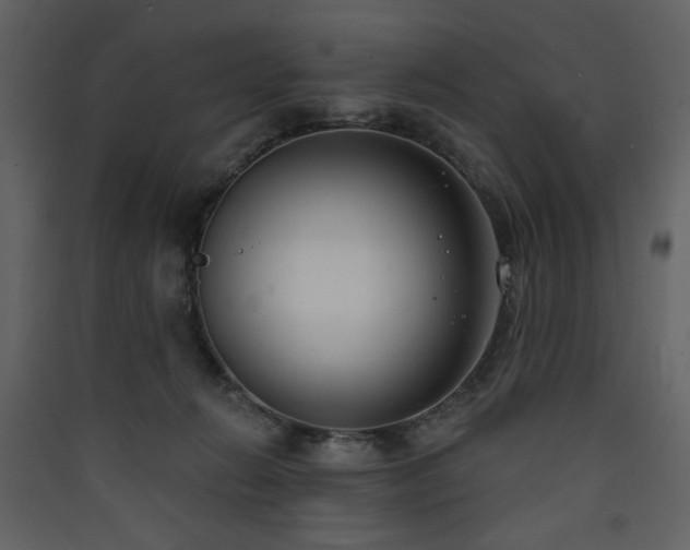 X0000090420270200707131215