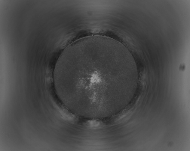 X0000090420272200707131215