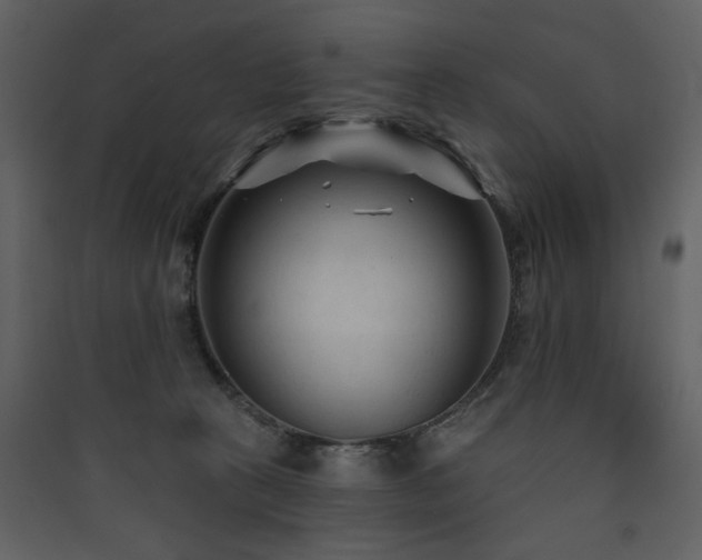 X0000090420273200707131215