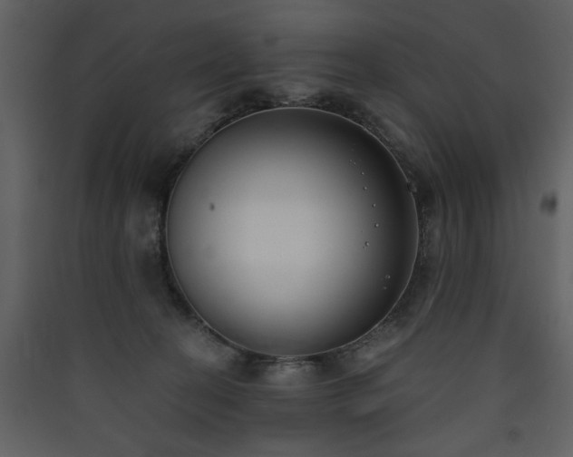 X0000090420274200707131215