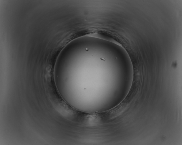 X0000090420275200707131215