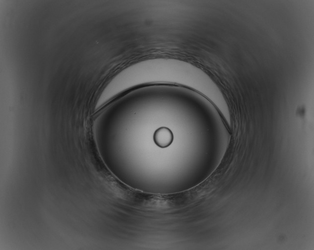 X0000090420276200707131215