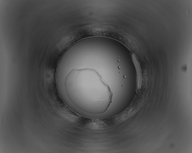 X0000090420278200707131215