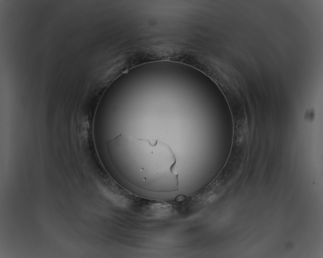 X0000090420279200707131215