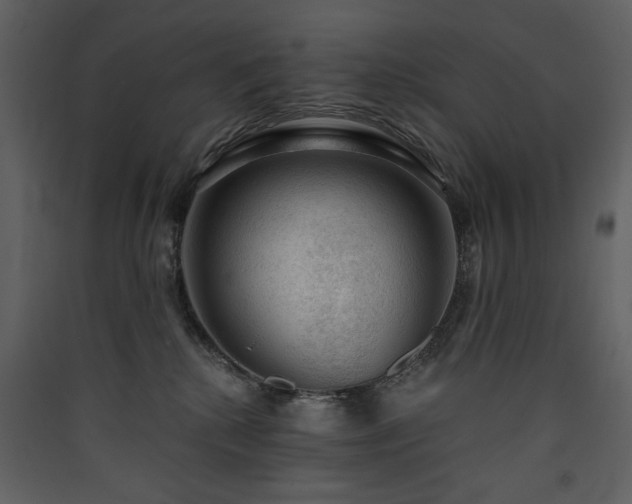 X0000090420280200707131215