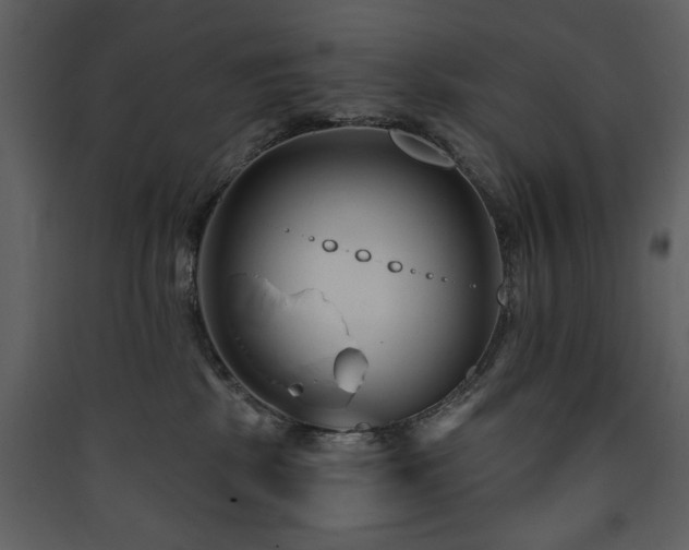 X0000090420281200707131215