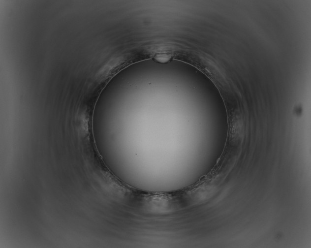 X0000090420282200707131215