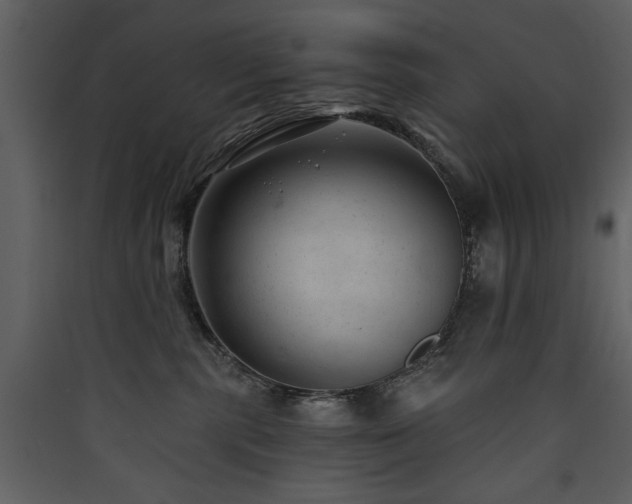 X0000090420283200707131215